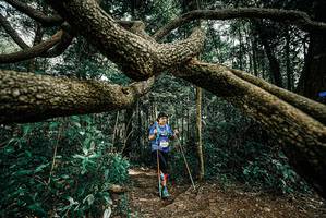 BIB: 
                            <button type="button" onclick="openModal(25705365)" class="btn btn-primary btn-sm float-right btn-popup" data-toggle="modal" data-target=".modal-high-quality">
                        <i class="fas fa-shopping-cart"></i> Add to Cart
                    </button>
                                            <button type="button" onclick="isThisMe(25705365, true)" class="btn btn-success btn-sm float-right btn-popup btn-isme hidden" data-toggle="tooltip" data-placement="bottom" title="นี่คือรูปของคุณใช่ไหม คลิกที่นี่เพื่อเอาเข้าอัลบั้ม">
                        <i class="fas fa-plus"></i> Add to album
                    </button>
                    <button type="button" onclick="isThisMe(25705365, false)" class="btn btn-warning btn-sm float-right btn-popup btn-isnotme hidden">
                        <i class="fas fa-ban"></i> Remove from album
                    </button>